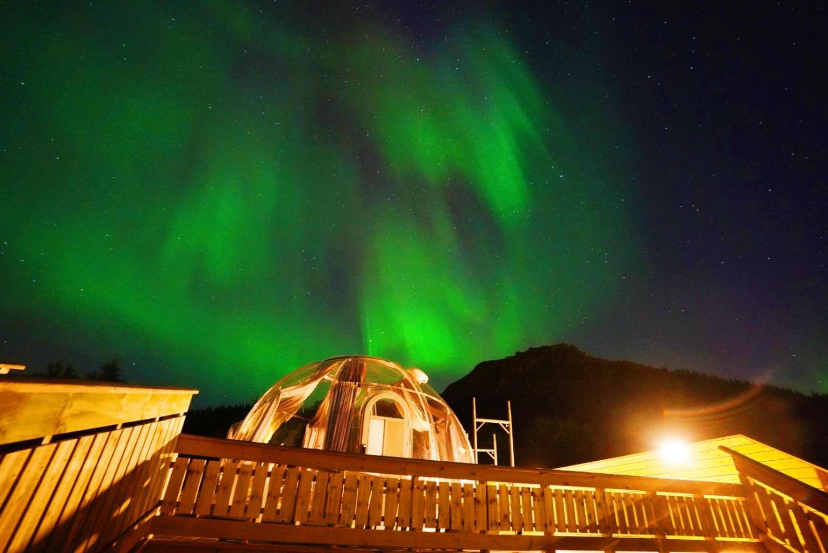 Banpim hillside Lofoten Gravdal  Exterior foto